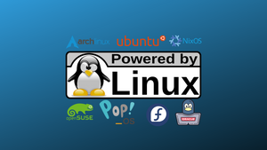 14 Top Linux Facts